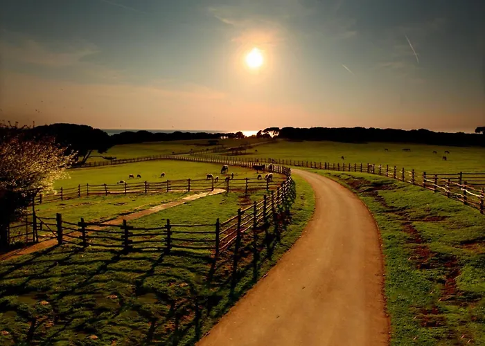 Vikendica Charming Pool Near Pula